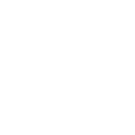 icone Facebook